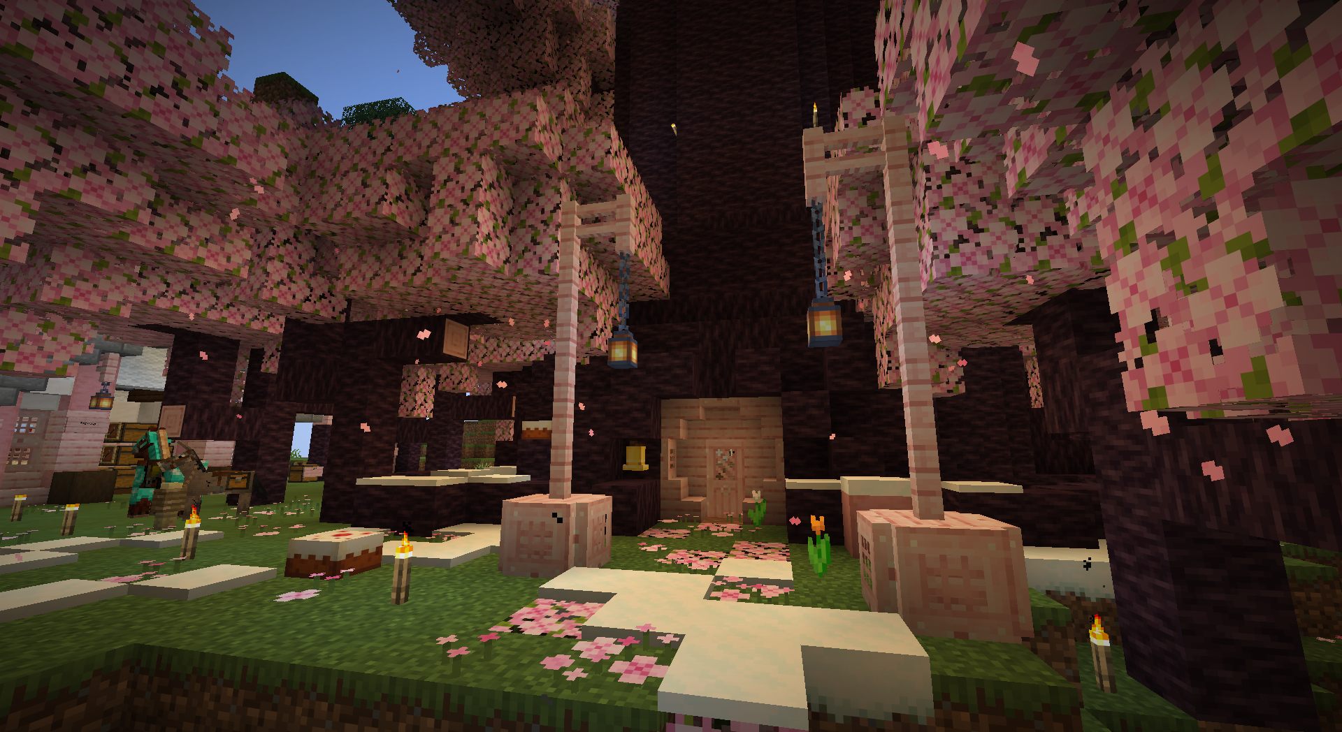 The entrance to our tree